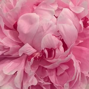 Meet your Posher, Lyndall